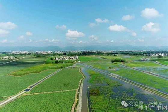 位列全區(qū)前茅,，桂平市建成稻蝦田8.202萬畝