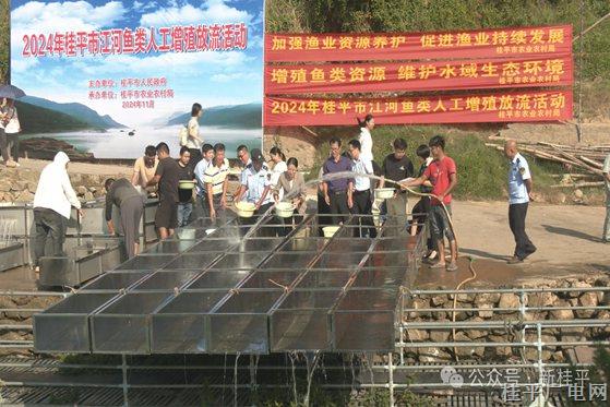 投放魚苗180余萬(wàn)尾,！桂平這項(xiàng)活動(dòng)已連續(xù)開展35年