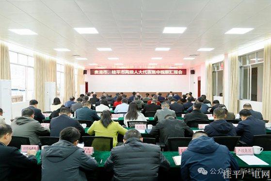 市人大常委會組織人大代表開展集中視察活動