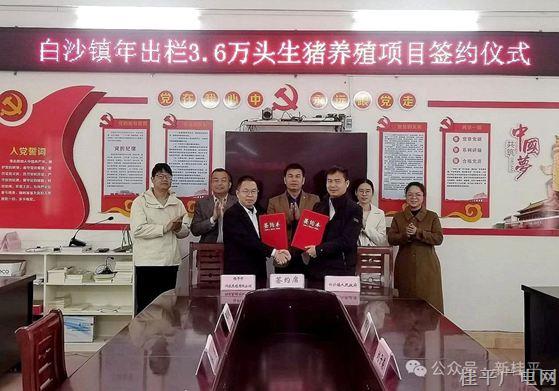 年出欄3.6萬頭,！白沙鎮(zhèn)又一養(yǎng)殖項(xiàng)目成功簽約