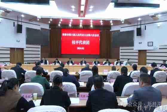 彭東光參加桂平代表團(tuán)審議