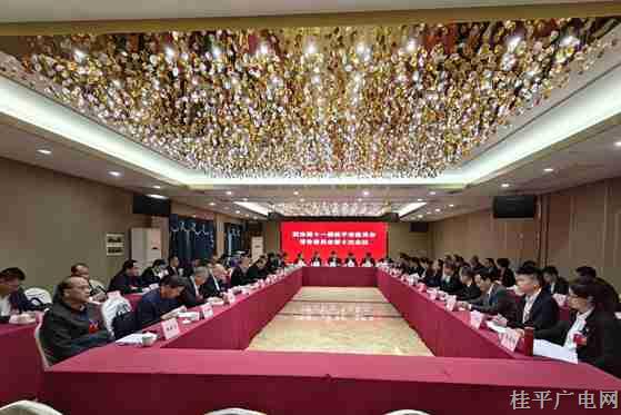 【聚焦兩會】桂平市政協(xié)召開第十一屆常務(wù)委員會第十次會議