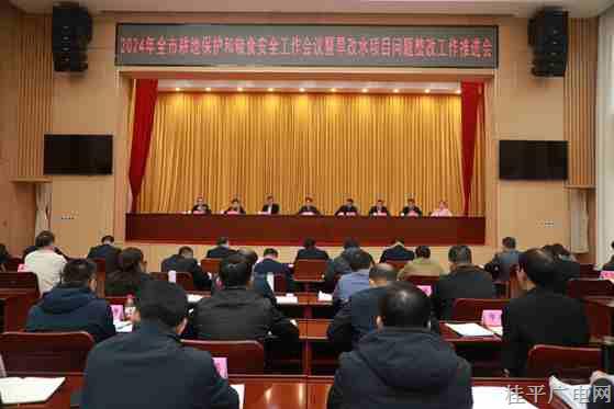 桂平市召開2024年耕地保護和糧食安全工作會議暨旱改水項目問題整改工作推進會