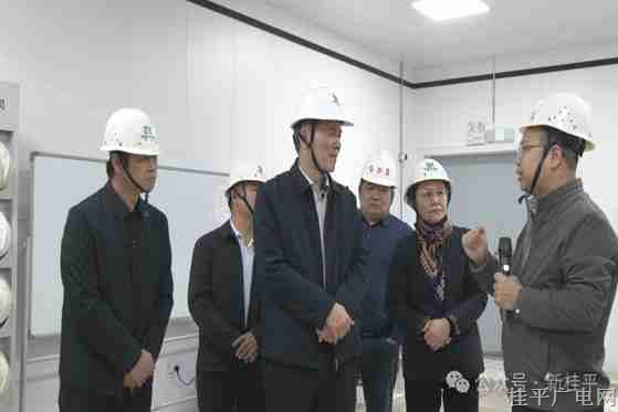自治區(qū)人大常委會調(diào)研組到桂平市調(diào)研推進新時代林業(yè)產(chǎn)業(yè)高質(zhì)量發(fā)展情況