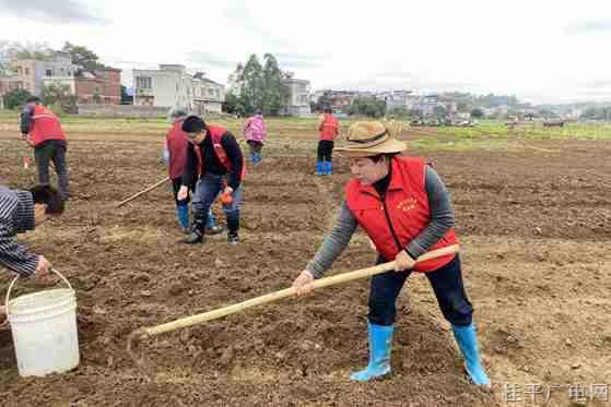 木圭鎮(zhèn)：春耕助農(nóng)正當時 撂荒耕地換新顏