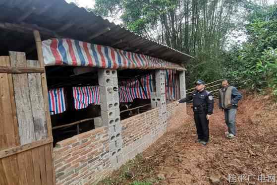 10頭黃牛組團“出走” 警民聯(lián)手8小時如數(shù)尋回