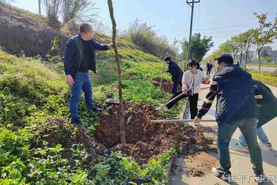 【新時代文明實踐】春風催新綠,，植樹正當時,，我市掀起植樹熱潮！