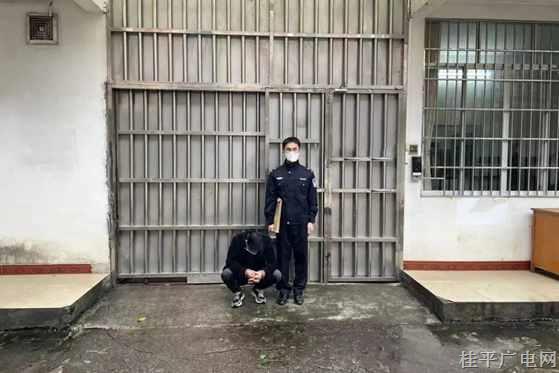 男子一人分飾兩角 詐騙同學(xué)10萬余元