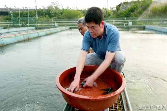 【勞動者之歌】陳壽福：做漁業(yè)的推廣者 當養(yǎng)殖戶的知心人