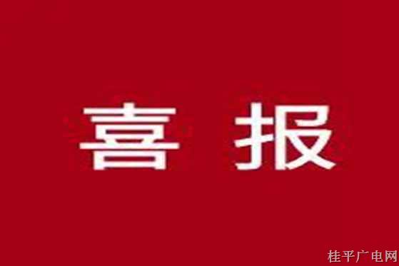 喜報,！桂平法院又獲獎了