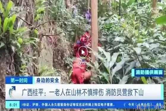 央視報(bào)道 | 廣西桂平：一老人在山林不慎摔傷 消防員營(yíng)救下山