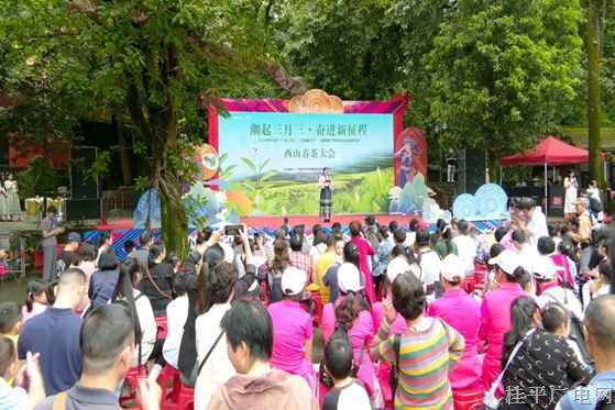 桂平市舉行2024年 “廣西三月三?八桂嘉年華”西山春茶大會(huì)