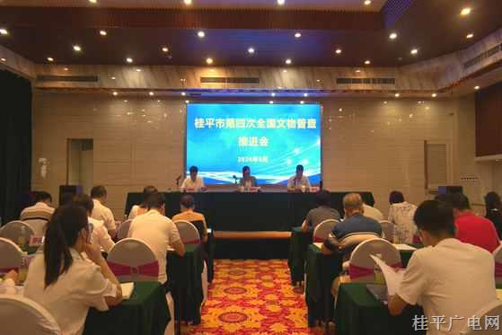 我市召開(kāi)2024年第四次全國(guó)文物普查推進(jìn)會(huì)