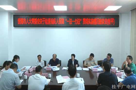 貴港市人大常委會檢查組到我市對實施殘疾人保障“一法一辦法”實施情況開展執(zhí)法檢查