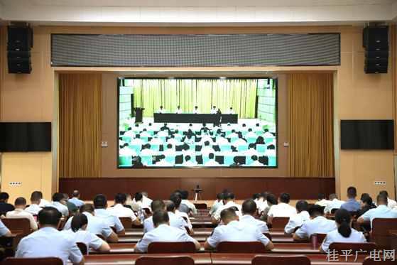 桂平市組織收聽收看2024年全區(qū)食品藥品安全工作會議