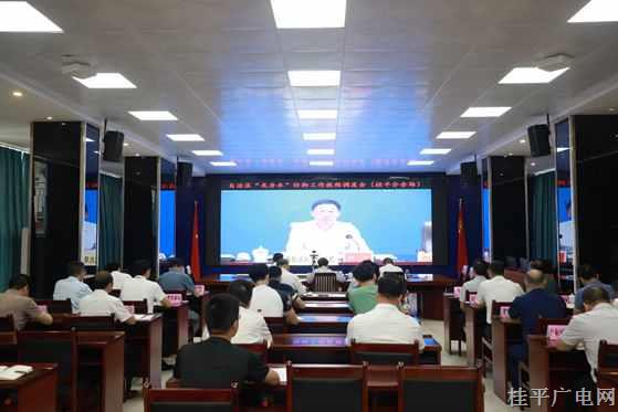 桂平市組織參加全區(qū)“龍舟水”防御工作視頻調(diào)度會議