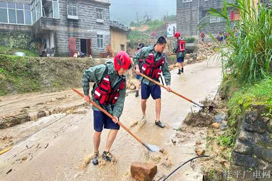 桂平市：未雨綢繆 打好防汛備汛“主動(dòng)仗”