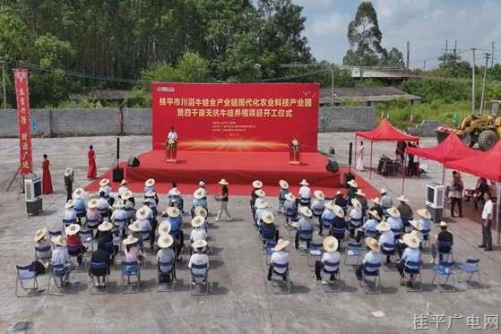總投資達(dá)3億元！桂平這個(gè)牛蛙全產(chǎn)業(yè)鏈項(xiàng)目開(kāi)工建設(shè)