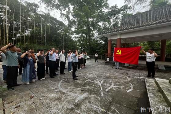 桂平市各部門,、鄉(xiāng)鎮(zhèn)開展慶“七一”系列活動(dòng)
