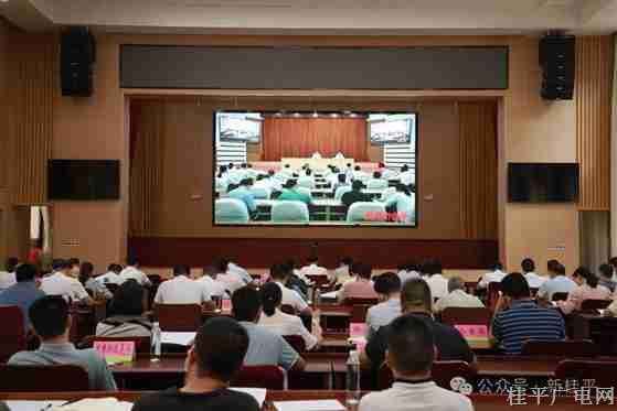 桂平市組織參加貴港市推進耕地保護暨自然資源執(zhí)法督察工作電視電話會議
