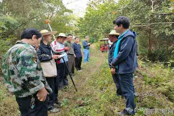 社坡鎮(zhèn)征地工作顯擔當 高效護航重點項目建設