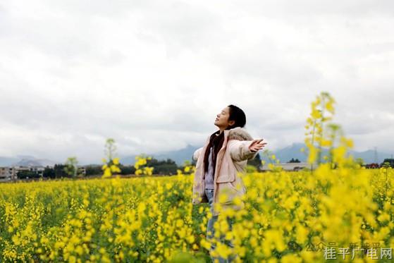 石龍鎮(zhèn)：春日來信 花已抵達(dá)