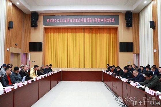 總投資額12.28億元,！ 我市成功簽約13個2025年設施農(nóng)業(yè)重點項目