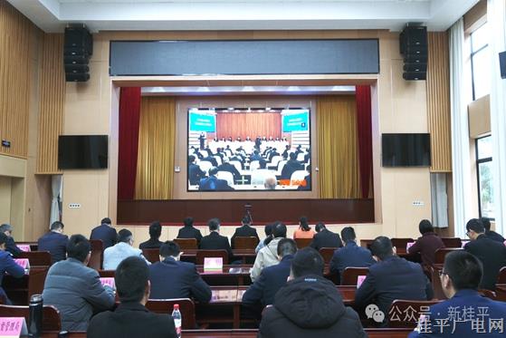 桂平市組織收聽收看貴港市六屆人民政府第四次廉政工作會(huì)議