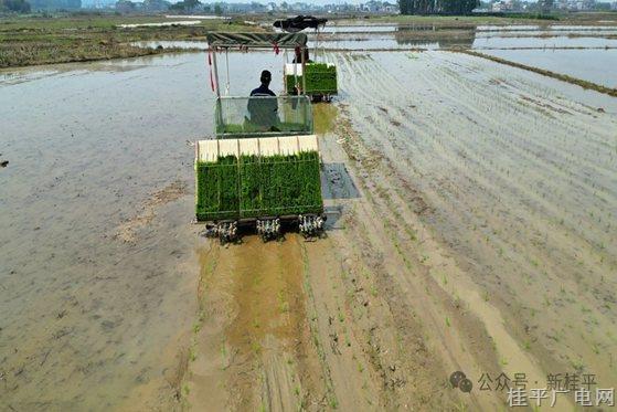 農(nóng)機(jī)給力！春耕省力,！桂平市2025年“萬臺(tái)農(nóng)機(jī)鬧春耕”活動(dòng)啟動(dòng)