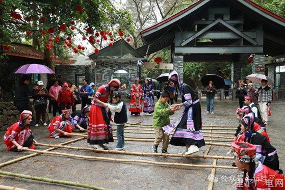 桂平西山三月三 茶香四溢共狂歡