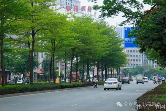 桂平“五亂”整治：治的是堵心的亂,，求的是舒心的活