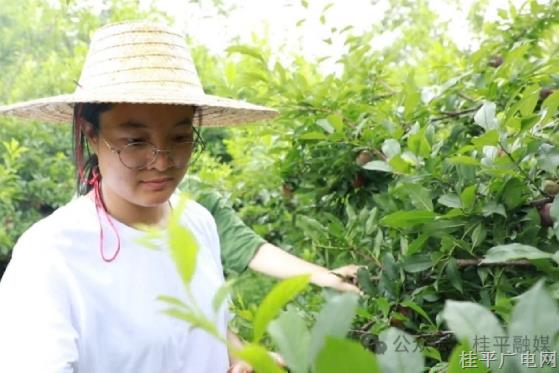 勞動(dòng)者之歌｜從高校到田間地頭,！這個(gè)桂平90后村官把貧困村帶成 