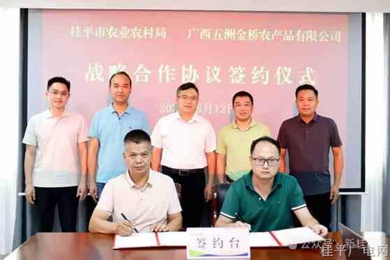 從枝頭到全國餐桌,！桂平市多措并舉拓寬麻垌荔枝銷路